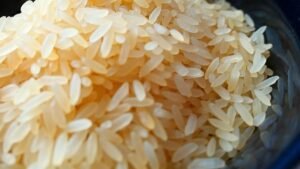 Plate of rajma chawal, balanced meal digestion aur energy ke liye